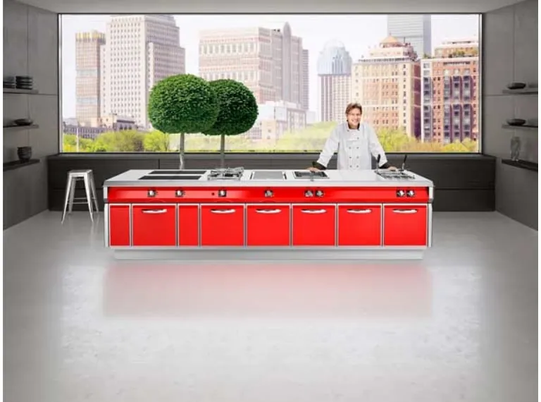 Bloques de cocina profesional