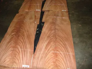sliced wood (Se non riesci a tradurre, lascia invariato: tranciati